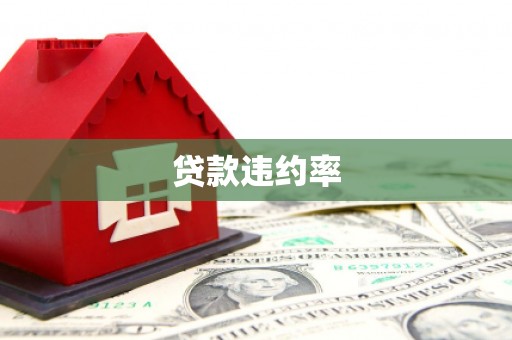 紫云贷款违约率