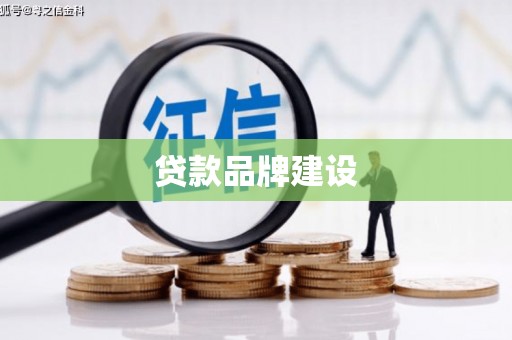 紫云贷款品牌建设