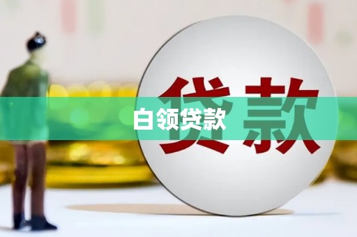 紫云白领贷款