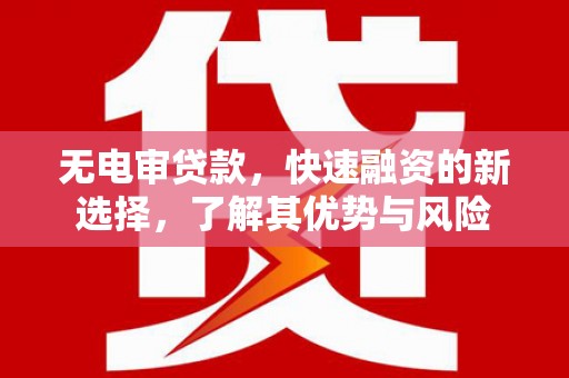 紫云无电审贷款，快速融资的新选择，了解其优势与风险