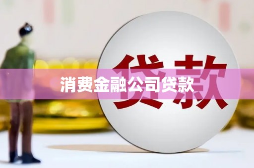 紫云消费金融公司贷款