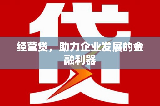 紫云经营贷，助力企业发展的金融利器