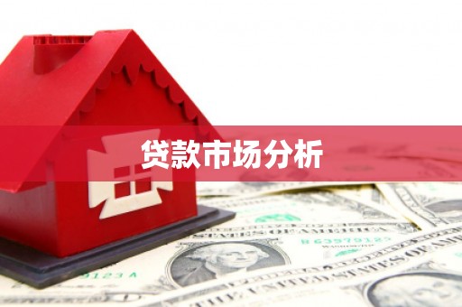 紫云贷款市场分析