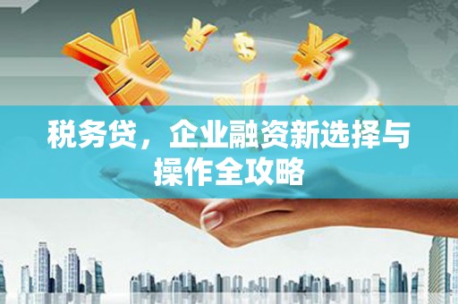 紫云税务贷，企业融资新选择与操作全攻略