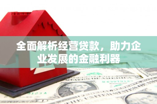 紫云全面解析经营贷款，助力企业发展的金融利器