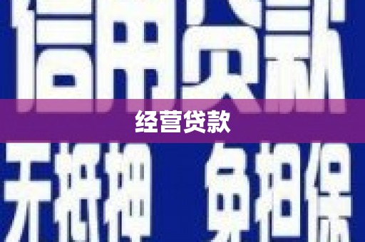 紫云经营贷款