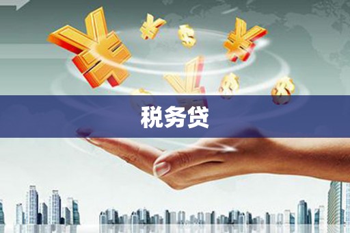 紫云税务贷