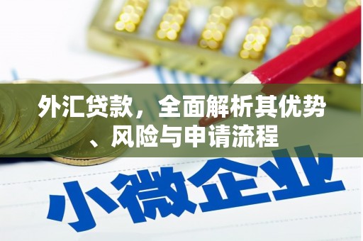 紫云外汇贷款，全面解析其优势、风险与申请流程