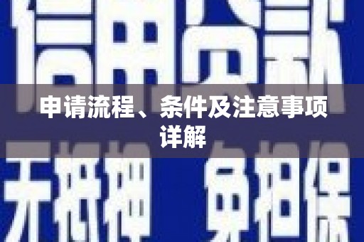 紫云申请流程、条件及注意事项详解