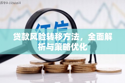 紫云贷款风险转移方法，全面解析与策略优化