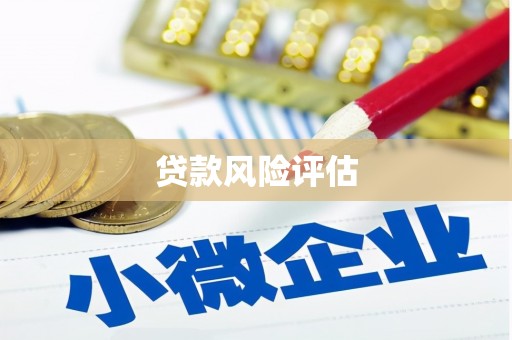 紫云贷款风险评估
