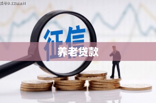 紫云养老贷款