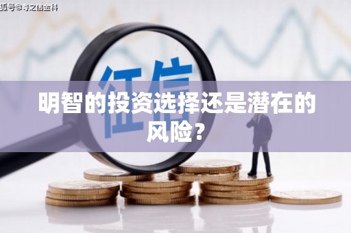 紫云明智的投资选择还是潜在的风险？