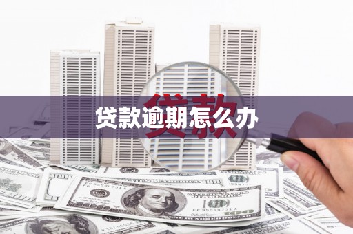 紫云贷款逾期怎么办