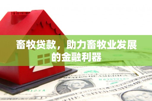 紫云畜牧贷款，助力畜牧业发展的金融利器