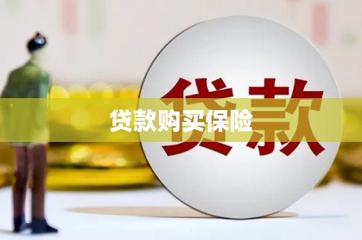 紫云贷款购买保险