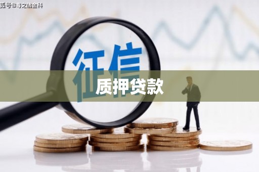 紫云质押贷款