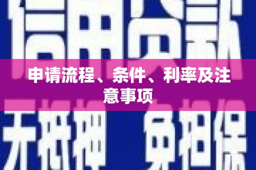 紫云申请流程、条件、利率及注意事项