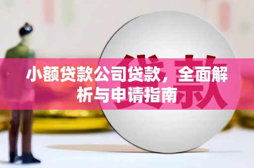 紫云小额贷款公司贷款，全面解析与申请指南