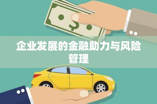 紫云企业发展的金融助力与风险管理
