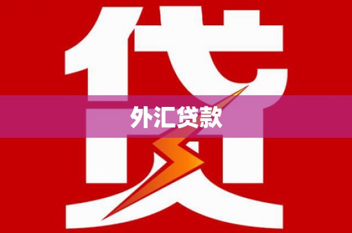 紫云外汇贷款
