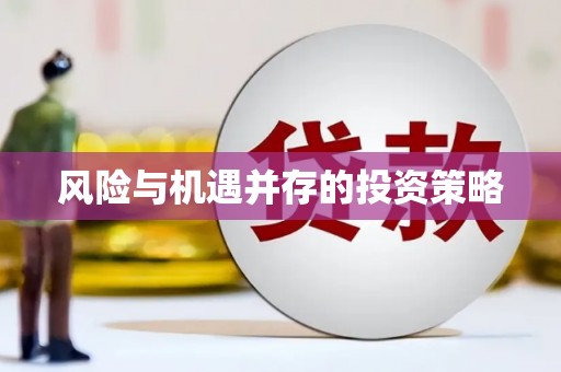 紫云风险与机遇并存的投资策略