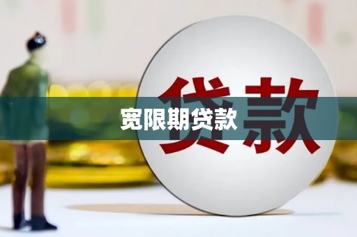 紫云宽限期贷款