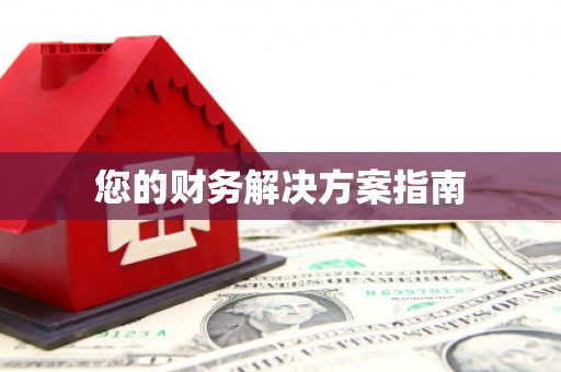 紫云您的财务解决方案指南