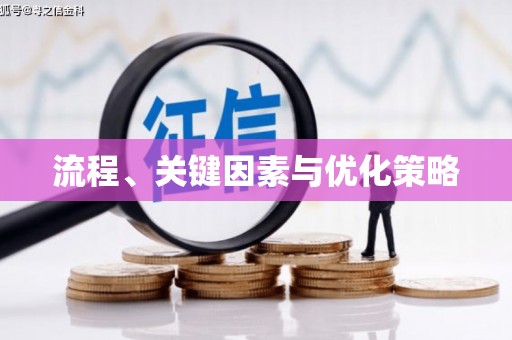 紫云流程、关键因素与优化策略