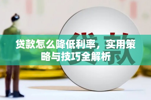 紫云贷款怎么降低利率，实用策略与技巧全解析