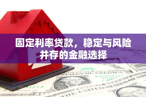 紫云固定利率贷款，稳定与风险并存的金融选择