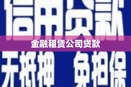 紫云金融租赁公司贷款