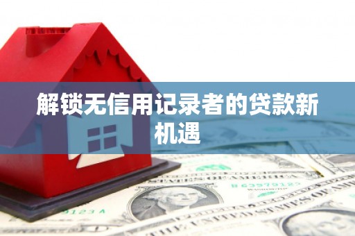 紫云解锁无信用记录者的贷款新机遇