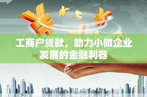 紫云工商户贷款，助力小微企业发展的金融利器