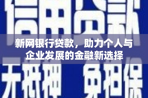 紫云新网银行贷款，助力个人与企业发展的金融新选择
