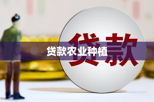 紫云贷款农业种植