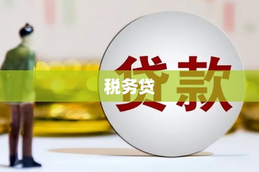 紫云税务贷