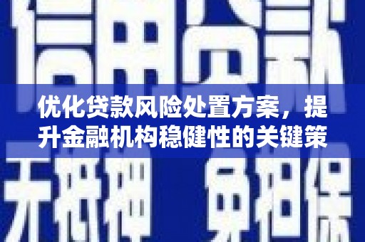 紫云优化贷款风险处置方案，提升金融机构稳健性的关键策略