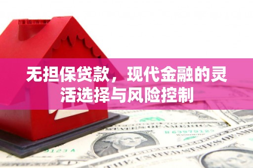 紫云无担保贷款，现代金融的灵活选择与风险控制