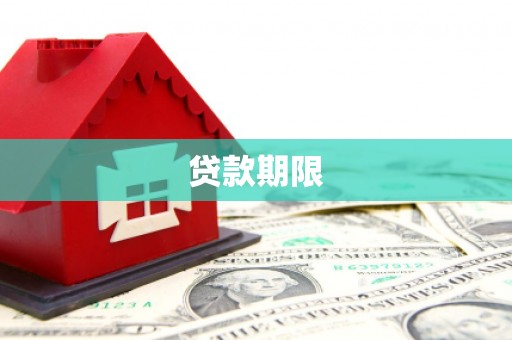 紫云贷款期限