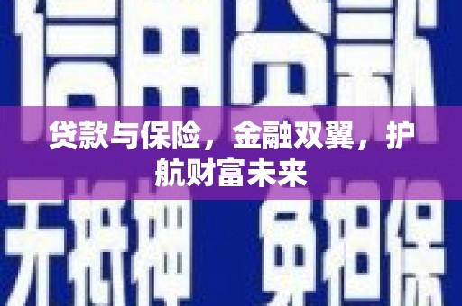 紫云贷款与保险，金融双翼，护航财富未来