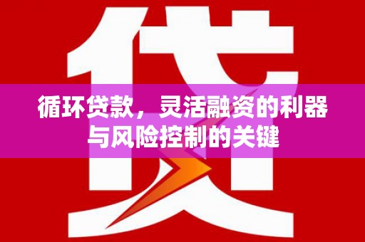 紫云循环贷款，灵活融资的利器与风险控制的关键