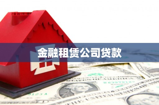 紫云金融租赁公司贷款