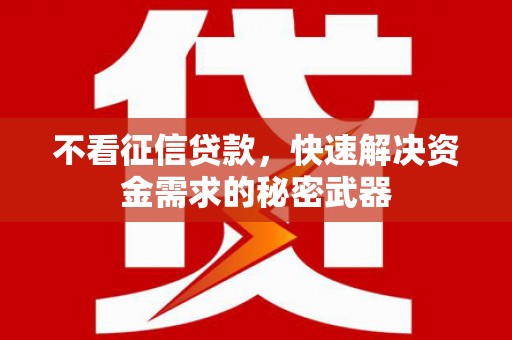 紫云不看征信贷款，快速解决资金需求的秘密武器