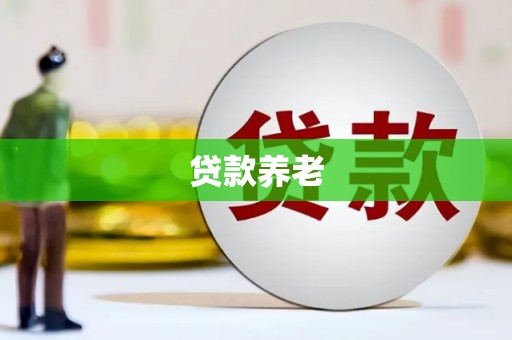 紫云贷款养老