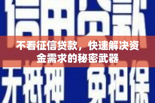 紫云不看征信贷款，快速解决资金需求的秘密武器