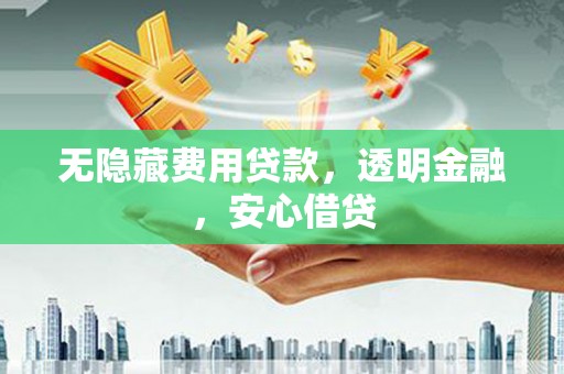 紫云无隐藏费用贷款，透明金融，安心借贷