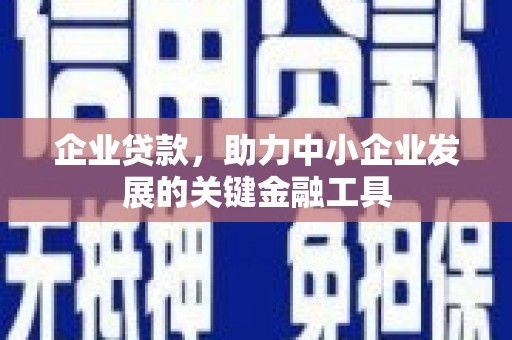 紫云企业贷款，助力中小企业发展的关键金融工具