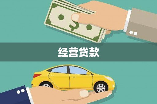 紫云经营贷款