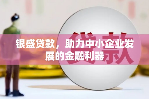 紫云银盛贷款，助力中小企业发展的金融利器